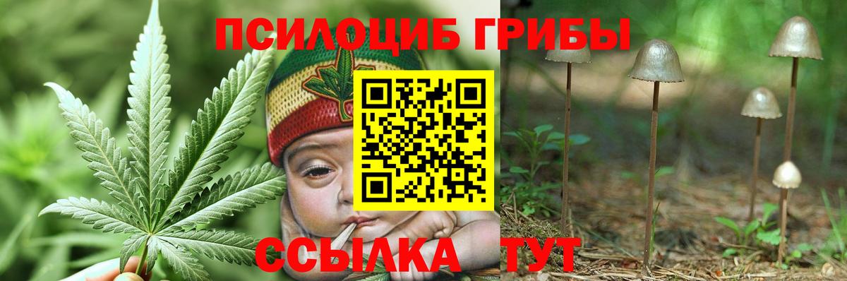 Псилоцибиновые грибы ЛСД Семилуки